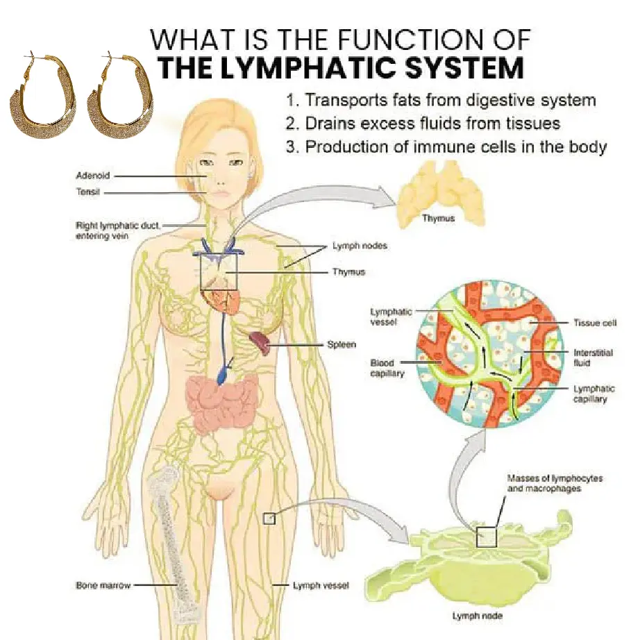 (🔥LAST DAY SALE-50% OFF) Skavix™ Miniyou Lymphatic Drainage Earrings