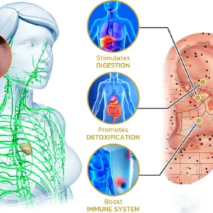 (🔥LAST DAY SALE-50% OFF) Skavix™ Miniyou Lymphatic Drainage Earrings