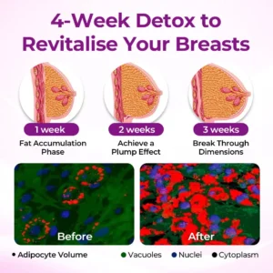 🔥Skavix® MaxCurve Sculpting & Volumizing Bust Oil